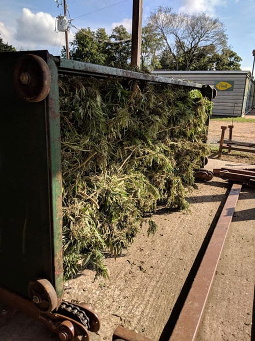 Hemp Equipment Hemp Farming Machines Granville Equipment